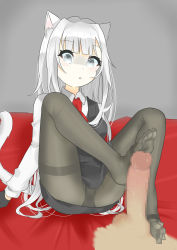 Rule 34 | 1girl, animal ears, blush, cat ears, cat tail, censored, feet, footjob, highres, long hair, necktie, panties, panties under pantyhose, pantyhose, pantyshot, parted lips, penis, shaded face, grey eyes, soles, tail, toes, underwear, white hair