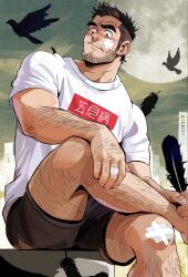Rule 34 | 1boy, arm hair, bandaid, bandaid on hand, bandaid on knee, bandaid on leg, bara, beard stubble, bird, black feathers, black hair, black shorts, blush, closed mouth, crow, facial hair, feathers, feet out of frame, figure four sitting, full moon, hand on own leg, highres, holding, holding feather, huge moon, leg hair, looking to the side, male focus, moon, muscular, muscular male, mustache stubble, original, shirt, short hair, short sleeves, shorts, solo, stubble, suamaru, tearing up, thick eyebrows, white shirt