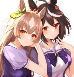 Rule 34 | 2girls, ahoge, animal ears, black hair, blush, bow, breasts, brown hair, closed mouth, commentary request, ear ribbon, flower, grin, hair between eyes, hair flower, hair ornament, hand on another&#039;s shoulder, hand up, head rest, highres, horse ears, horse girl, kitasan black (umamusume), large breasts, looking at viewer, multicolored hair, multiple girls, puffy short sleeves, puffy sleeves, purple bow, purple shirt, red eyes, sailor collar, satono diamond (umamusume), school uniform, shirt, short sleeves, simple background, sky cappuccino, smile, streaked hair, tracen school uniform, umamusume, upper body, v, white background, white hair, white sailor collar
