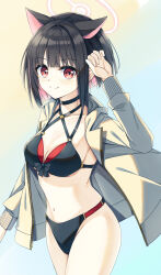 Rule 34 | 1girl, absurdres, alternate costume, animal ears, bikini, black hair, blue archive, blush, breasts, collarbone, commentary, hair between eyes, hair ornament, halo, highres, jacket, kazusa (blue archive), looking at viewer, medium breasts, multicolored hair, navel, red eyes, ribbon, simple background, solo, swimsuit, take5321, two-tone hair