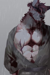 Rule 34 | 1boy, abs, absurdres, animal ears, bara, bare pectorals, beard, body fur, chest hair, facial hair, furry, furry male, headband, highres, large pectorals, male focus, muscular, muscular male, nipples, original, pectorals, rain, sad, seato-hao, short hair, snout, solo, thick eyebrows, upper body, wet, wet clothes, wolf boy, wolf ears