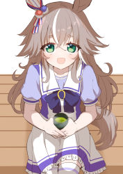 Rule 34 | 1girl, animal ears, bench, blush, commentary request, cup, green eyes, grey hair, highres, horse ears, horse tail, looking at viewer, messy hair, nachisuke, school uniform, simple background, sitting, solo, tail, teacup, thighhighs, tracen school uniform, umamusume, white background, wonder acute (umamusume)