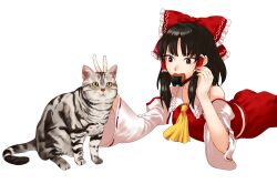 Rule 34 | 1girl, animal, ascot, black eyes, black hair, bow, breasts, cat, detached sleeves, eating, food, food in mouth, frilled bow, frilled hair tubes, frills, grey cat, hair bow, hair tubes, hakurei reimu, highres, kuya (hey36253625), long hair, looking at animal, lying, mouth hold, on stomach, parted bangs, red bow, red skirt, ribbon-trimmed sleeves, ribbon trim, senbei, skirt, small breasts, solo, touhou, v, whiskers, white background, wide sleeves, yellow ascot