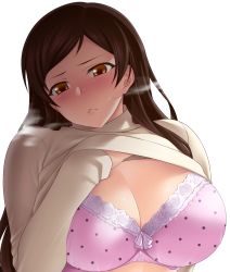 Rule 34 | 1girl, blush, bra, breasts, brown eyes, brown hair, cleavage, clothes lift, heavy breathing, idolmaster, idolmaster million live!, idolmaster million live! theater days, kitazawa shiho, large breasts, long hair, long sleeves, looking at viewer, namidame, pink bra, shirt lift, solo, sweat, transparent background, underwear