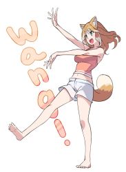 Rule 34 | 1girl, :d, animal ear fluff, animal ears, bare arms, bare legs, bare shoulders, barefoot, commentary, dog ears, dog girl, dog tail, fang, full body, green eyes, light brown hair, long hair, looking away, midriff, navel, open mouth, original, outstretched arms, saiste, short shorts, shorts, simple background, smile, solo, standing, standing on one leg, tail, thick eyebrows, white background, white shorts