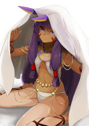 Rule 34 | 1girl, animal ears, barefoot, blanket, bracelet, breasts, closed mouth, collarbone, commentary request, dark-skinned female, dark skin, date (mamanonamaebot), egyptian, egyptian clothes, facial mark, fate/grand order, fate (series), groin, hair between breasts, hair tubes, hairband, hands up, highres, jewelry, lace-up, long hair, looking at viewer, low-tied long hair, navel, necklace, nitocris (fate), purple eyes, purple hair, sidelocks, simple background, sitting, small breasts, smile, solo, stomach, thighs, veil, very long hair, wariza, white background