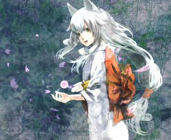 Rule 34 | 1girl, amaterasu (ookami), animal ears, capcom, cherry blossoms, female focus, highres, japanese clothes, kimono, long hair, looking back, mosasa, ookami (game), personification, solo, white hair, wolf ears, yellow eyes