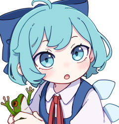 Rule 34 | 1girl, absurdres, ahoge, animal, blue bow, blue dress, blue eyes, blue hair, blush, bow, cirno, collared shirt, dress, fairy, frog, hair bow, highres, holding, holding animal, ice, ice wings, kame (kamepan44231), looking at viewer, open mouth, pinafore dress, shirt, short hair, short sleeves, simple background, sleeveless, sleeveless dress, solo, touhou, upper body, white background, white shirt, wings