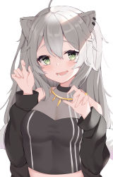 Rule 34 | 1girl, :d, absurdres, ahoge, animal ears, bare shoulders, black jacket, black shirt, blush, breasts, cleavage, commentary request, crop top, ear piercing, fangs, fur-trimmed jacket, fur trim, green eyes, grey hair, hair between eyes, hands up, highres, hololive, jacket, lion ears, long hair, long sleeves, looking at viewer, off shoulder, open clothes, open jacket, open mouth, piercing, see-through, see-through cleavage, shirt, shishiro botan, shishiro botan (1st costume), simple background, sleeveless, sleeveless shirt, small breasts, smile, solo, upper body, virtual youtuber, white background, xiao lin jiu