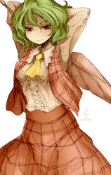 Rule 34 | 1girl, arms up, ascot, breasts, closed umbrella, female focus, green hair, kazami yuuka, medium breasts, oso (toolate), plaid, plaid skirt, plaid vest, red eyes, shaded face, short hair, simple background, skirt, skirt set, smile, solo, touhou, umbrella, vest, white background