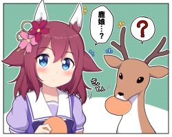 Rule 34 | 1girl, ?, animal ears, blue eyes, bow, brown hair, commentary request, deer, flower, food, food in mouth, green background, hair between eyes, hair flower, hair ornament, holding, holding food, horse ears, looking at viewer, mouth hold, notice lines, outline, pink flower, polka dot, polka dot background, puffy short sleeves, puffy sleeves, purple bow, purple shirt, red flower, sakura chiyono o (umamusume), school uniform, shirt, short sleeves, solo, spoken question mark, takiki, tracen school uniform, translation request, two-tone background, umamusume, upper body, white background, white outline