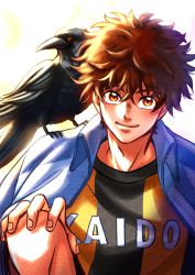 Rule 34 | 1boy, absurdres, animal, animal on shoulder, ao ashi, aoi ashito, bird, bird on shoulder, brown eyes, brown hair, crow, hand on own knee, highres, jacket, jacket on shoulders, looking at viewer, male focus, maritakafuji, messy hair, red eyes, smile, soccer uniform, solo, sportswear, white background
