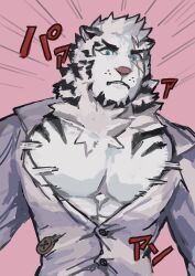 Rule 34 | 1boy, abs, animal ears, arknights, bara, blue eyes, buchi0122, bursting pectorals, commentary request, cross scar, facial scar, furry, furry male, highres, looking at viewer, male focus, mountain (arknights), mountain (book reader) (arknights), multiple scars, muscular, muscular male, pectoral cleavage, pectorals, popped button, scar, scar across eye, scar on cheek, scar on face, shirt, tiger boy, tiger ears, tiger stripes, translation request, white shirt
