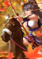 Rule 34 | 1girl, 1other, absurdres, animal ears, arrow (projectile), autumn leaves, bandaid, bandaid on face, bandaid on nose, black hair, bow (weapon), bridle, cheesecake (artist), creature and personification, hair ribbon, high ponytail, highres, holding, holding arrow, holding bow (weapon), holding weapon, horse, horse ears, horse girl, horseback riding, japanese clothes, long hair, mouth hold, narita brian (heavenly laughter kaburaya) (umamusume), narita brian (racehorse), narita brian (umamusume), ponytail, ribbon, riding, sarashi, stalk in mouth, umamusume, weapon, yellow eyes
