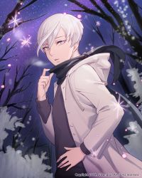 Rule 34 | alternate costume, androgynous, antarcticite, coat, contemporary, gender request, hand on own hip, highres, hood, hooded jacket, houseki no kuni, jacket, looking at viewer, night, night sky, outdoors, scarf, short hair, sky, solo, sparkle, star (sky), starry sky, tree, white eyes, white hair, winter clothes