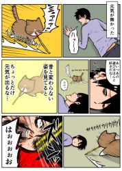 Rule 34 | 1boy, artist self-insert, black hair, cat, comic, commentary request, kounoike tsuyoshi, original, ponta (kounoike tsuyoshi), translation request
