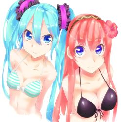 Rule 34 | 2girls, aqua hair, arms behind back, bad id, bad pixiv id, bare arms, bare shoulders, bikini, black bikini, blue eyes, breasts, cleavage, female focus, flower, frills, from above, front-tie top, hair between eyes, hair flower, hair ornament, hairband, hatsune miku, hibiscus, highres, large breasts, long hair, looking at viewer, looking up, megurine luka, merumayu, multiple girls, pink hair, simple background, small breasts, smile, striped bikini, striped clothes, swimsuit, twintails, upper body, vocaloid, white background, ytk (yutta-p)