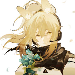 Rule 34 | 1girl, animal ears, arknights, armor, black scarf, blonde hair, breastplate, flower, green flower, headset, horse ears, implied extra ears, light smile, looking at viewer, nearl (arknights), ponytail, portrait, rhodes island logo (arknights), satonishi, scarf, simple background, solo, white background, yellow eyes