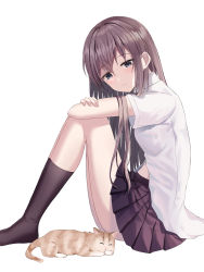 Rule 34 | 1girl, absurdres, animal, ass, black eyes, black skirt, black socks, breasts, cat, chiichan d, closed mouth, collared shirt, from side, full body, grey hair, hair between eyes, hands on own knees, highres, knees up, long hair, looking to the side, original, shirt, short sleeves, sidelocks, sitting, skirt, small breasts, smile, socks, solo, thighs, unbuttoned, unbuttoned shirt, white background, white shirt