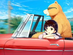 Rule 34 | 10s, 1girl, amayadori machi, animal, bear, black hair, blue sky, bored, brown eyes, brown hair, car, commentary request, day, driving, floating hair, from side, glasses, glint, hair ribbon, highres, kumai natsu, kumamiko, long hair, low twintails, motion blur, motor vehicle, mountain, ocean, outdoors, profile, ribbon, road sign, sign, sky, sunglasses, tomitayaki, tree, twintails, wind