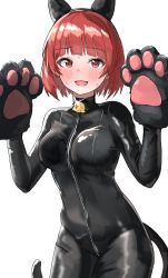 Rule 34 | 1girl, :o, absurdres, alternate costume, animal ears, animal hands, black bodysuit, black hairband, blunt bangs, blush, bodysuit, breasts, cat ears, cat paws, cowboy shot, fake animal ears, glint, gloves, hairband, highres, idolmaster, idolmaster million live!, looking at viewer, medium breasts, nonohara akane, paw gloves, pdal (pdalhhh), red eyes, red hair, short hair, simple background, skin tight, solo, sweat, white background, zipper, zipper pull tab
