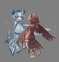 Rule 34 | 2girls, animal feet, bird legs, bird tail, brown feathers, brown hair, brown wings, coat, commentary request, eurasian eagle owl (kemono friends), feathered wings, feathers, grey background, harpy, head wings, highres, kemono friends, looking back, match314, monster girl, monsterification, multiple girls, neck ruff, northern white-faced owl (kemono friends), short hair, simple background, tail, talons, white feathers, white hair, white wings, winged arms, wings, yellow eyes