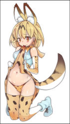 Rule 34 | 1girl, animal ear fluff, animal ears, ankle boots, black border, blonde hair, blush, boots, border, bow, bowtie, breasts, closed mouth, clothes in mouth, clothes lift, commentary request, elbow gloves, extra ears, full body, gloves, high-waist skirt, highres, kemono friends, kneeling, lifted by self, looking at viewer, medium hair, mimic (ryon733), mouth hold, navel, orange bow, orange bowtie, orange eyes, orange gloves, orange panties, orange skirt, orange thighhighs, panties, print bow, print bowtie, print gloves, print neckwear, print panties, print skirt, print thighhighs, serval (kemono friends), serval print, serval tail, shiny skin, shirt, skindentation, skirt, skirt in mouth, skirt lift, sleeveless, sleeveless shirt, small breasts, solo, striped tail, tail, tearing up, thigh gap, thighhighs, underwear, white background, white footwear, white shirt