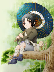 Rule 34 | 1boy, black hair, cat, child, in tree, male focus, mutsumix, naruto, naruto (series), rain, sitting, sitting in tree, solo, tree, uchiha sasuke, umbrella
