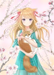 Rule 34 | 1girl, animal, animal ears, apricot blossom, bare shoulders, blonde hair, blue dress, blue eyes, blurry, blurry background, blurry foreground, blush, branch, cat, cat ears, commentary request, cowboy shot, depth of field, dress, fingernails, floral background, hair ribbon, highres, holding, holding animal, holding cat, light blush, long hair, looking at viewer, original, persian cat, pink background, raglan sleeves, ribbon, short sleeves, smile, solo, standing, swept bangs, very long hair, yamamoto tomoha