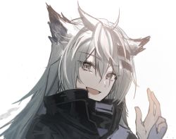 Rule 34 | 1girl, :d, ahoge, animal ears, arknights, black jacket, grey eyes, grey hair, hand up, highres, jacket, lappland (arknights), long hair, looking at viewer, ninshi, open mouth, portrait, scar, scar across eye, simple background, sketch, smile, solo, white background, wolf ears, wolf girl