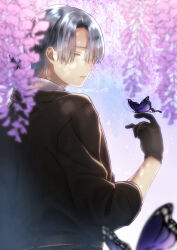 Rule 34 | 1boy, asagi nanase, blue sky, brown gloves, brown jacket, bug, butterfly, butterfly on hand, cherry blossoms, gloves, grey eyes, grey hair, highres, insect, jacket, kirisaki shidou, long sleeves, looking at viewer, looking back, male focus, milgram, mole, mole under eye, parted lips, purple butterfly, short hair, sky, solo
