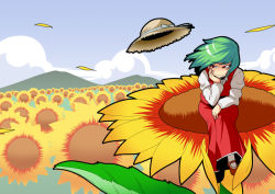 Rule 34 | 1girl, cloud, day, dress, female focus, flower, green hair, hand on own face, hat, kazami yuuka, nature, outdoors, plant, red eyes, roah, sitting, sky, smile, solo, straw hat, sunflower, touhou
