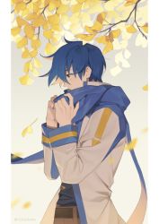 Rule 34 | 1boy, 1c3ink3tk4n, autumn, autumn leaves, blue eyes, blue hair, coat, from side, hands up, highres, kaito (vocaloid), long sleeves, nail polish, scarf, short hair, solo, vocaloid