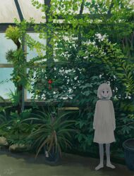 Rule 34 | 1girl, arms at sides, barefoot, blue eyes, bob cut, closed mouth, colored skin, commentary, day, dress, greenhouse, highres, indoors, long sleeves, looking at viewer, original, plant, potted plant, signature, solo, standing, sugita magari, white dress, white hair, white skin, wide shot