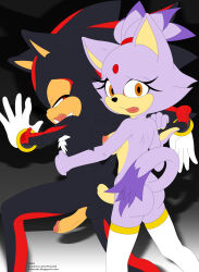 Rule 34 | 1boy, 1girl, anal, blaze the cat, futa with male, futanari, highres, male penetrated, no humans, pegging, shadow the hedgehog, sonic (series), tcprod