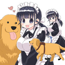 Rule 34 | 1girl, :d, animal, black eyes, black hair, blush, breasts, commentary, dog, heart, highres, large breasts, leash, maid, naitou kouse, open mouth, original, smile, tongue, tongue out, twintails, white background