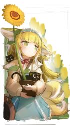 Rule 34 | 1girl, absurdres, animal ears, arknights, bag, black cat, blonde hair, blue hairband, blue skirt, blush, brown bag, cardigan, cat, closed mouth, colored tips, crossover, flower, flower pot, fox ears, fox girl, fox tail, frilled hairband, frills, green eyes, hairband, heixiu, highres, holding, holding flower pot, kitsune, kyuubi, long hair, long sleeves, luo xiaohei, luo xiaohei zhanji, multicolored hair, multiple tails, neck ribbon, official alternate costume, on shoulder, open cardigan, open clothes, puffy long sleeves, puffy sleeves, red ribbon, ribbon, shirt, shoulder bag, skirt, sunflower, suzuran (arknights), suzuran (spring praise) (arknights), tail, two-tone hair, white hair, white shirt, yellow cardigan, yukikochenk