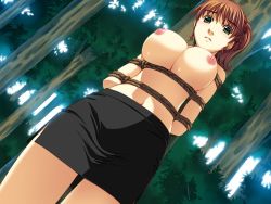 Rule 34 | 1girl, arms behind back, bdsm, blush, bondage, bound, bound arms, breasts, brown hair, dutch angle, elf (company), forest, game cg, green eyes, kogure mayumi, large breasts, looking at viewer, nature, navel, nipples, no bra, oono tsutomu, parted lips, ponytail, rope, skirt, solo, standing, topless, topless female, tree, wakazuma mangekyou, yellow pig, yuzuchichi