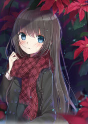 Rule 34 | 1girl, blue eyes, blush, brown hair, coat, flower, jacket, long hair, maigoyaki, original, plaid, plaid scarf, scarf, solo