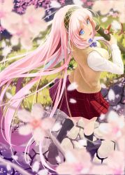 Rule 34 | 1girl, black socks, blue eyes, bow, bowtie, breasts, cherry blossoms, flower, graduated cylinder, grass, hairband, highres, long hair, long sleeves, looking back, megurine luka, okingjo, petals, pink hair, pleated skirt, school uniform, shirt, shoes, skirt, smile, socks, solo, sweater, very long hair, vocaloid
