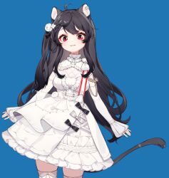 Rule 34 | 1girl, ahoge, animal ear fluff, animal ear piercing, animal ears, arin (fanfan013), bare shoulders, black bow, black hair, blue background, bow, bow choker, bowtie, braid, cat ears, cat tail, chinese commentary, choker, closed mouth, commentary request, cowboy shot, detached sleeves, dress, dress bow, eyelashes, flower, frilled choker, frilled dress, frilled sleeves, frills, hair flower, hair ornament, long hair, looking at viewer, loose hair strand, original, red eyes, rose, short dress, sidelocks, simple background, single braid, sleeveless, sleeveless dress, sleeves past wrists, smile, solo, tail, thighhighs, very long hair, white bow, white bowtie, white choker, white dress, white flower, white rose, white sleeves, white thighhighs, zettai ryouiki
