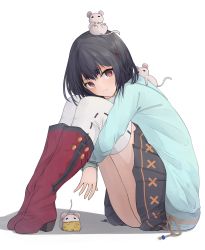 Rule 34 | 1girl, bad id, bad pixiv id, black hair, blue hoodie, boots, cheese, food, granblue fantasy, highres, hood, hoodie, hugging own legs, kakimoto nao, looking at viewer, mouse (animal), red eyes, red footwear, sitting, solo, thighhighs, vikala (granblue fantasy), white background, white thighhighs