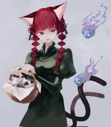 Rule 34 | 1girl, animal ear fluff, animal ears, basket, blunt bangs, braid, cat ears, cat tail, cowboy shot, dress, extra ears, green dress, grey background, highres, hitodama, holding, holding basket, juliet sleeves, kaenbyou rin, light smile, long hair, long sleeves, looking to the side, multiple tails, nekomata, parted lips, puffy sleeves, simple background, skull, solo, tail, touhou, twin braids, twintails, two tails, yasuo