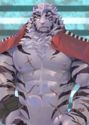 Rule 34 | 1boy, abs, animal ears, arknights, bara, bare pectorals, bottomless, cuffs, fuga9, furry, furry male, handcuffs, jacket, large pectorals, looking at viewer, male focus, mountain (arknights), muscular, muscular male, naked jacket, navel, nipples, open clothes, open jacket, orange jacket, pectorals, scar, scar across eye, scar on arm, scar on chest, scar on face, scar on stomach, short hair, solo, stomach, tiger boy, tiger ears, upper body, white fur, white hair