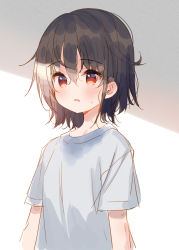 Rule 34 | 1girl, black hair, blush, commentary request, grey shirt, hair between eyes, meito (maze), original, parted lips, red eyes, shirt, short sleeves, solo, sweat, upper body