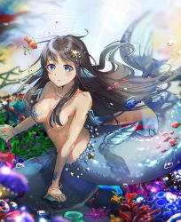 Rule 34 | 1girl, air bubble, black hair, blue eyes, blush, breasts, bubble, cago032, clam, commentary request, convenient censoring, coral, fins, fish, gem, hair censor, hair ornament, hair over breasts, head fins, highres, large breasts, long hair, looking at viewer, mermaid, monster girl, no nipples, original, pearl (gemstone), rock, scales, solo, star (symbol), star hair ornament, starfish, underwater, webbed hands