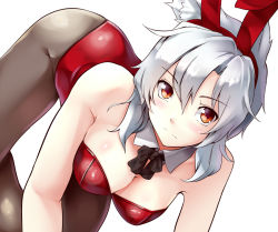 Rule 34 | 1girl, all fours, animal ears, bare shoulders, black pantyhose, breasts, chaigidhiell, cleavage, fake animal ears, inubashiri momiji, large breasts, leotard, looking at viewer, pantyhose, playboy bunny, rabbit ears, red eyes, silver hair, solo, touhou, wolf ears