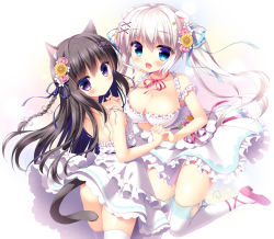 Rule 34 | 2girls, animal ears, back, bare shoulders, black hair, blue eyes, blush, braid, breasts, cat ears, cat tail, commentary request, dress, hair ornament, hair ribbon, holding hands, large breasts, long hair, looking back, multiple girls, open mouth, original, ribbon, sasai saji, smile, tail, thighhighs, twintails, very long hair, white dress, white hair, white legwear, x hair ornament