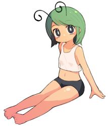 Rule 34 | 1girl, alternate costume, antennae, barefoot, black eyes, black shorts, blush, breasts, closed mouth, crop top, expressionless, full body, green hair, highres, looking at viewer, midriff, navel, short hair, short shorts, shorts, simple background, sitting, small breasts, solo, swept bangs, tank top, touhou, ugif, white background, white tank top, wriggle nightbug