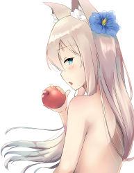 Rule 34 | 10s, 1girl, animal ears, apple, blue eyes, blue hair, color1087, eating, flower, food, fox ears, fruit, hair flower, hair ornament, hibiki (kancolle), highres, holding, holding food, kantai collection, long hair, looking at viewer, nude, solo, upper body
